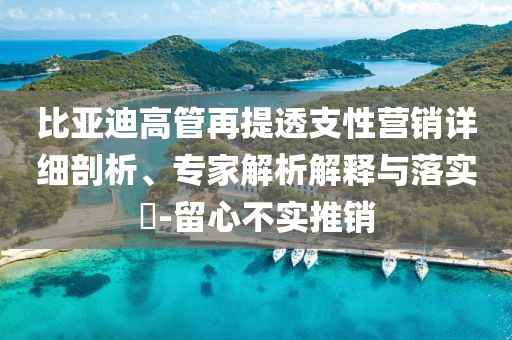 比亞迪高管再提透支性營銷詳細(xì)剖析、專家解析解釋與落實(shí)?-留心不實(shí)推銷