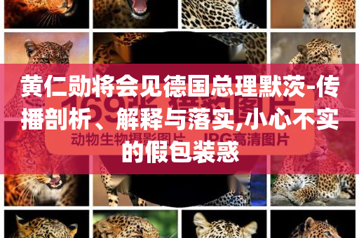 黃仁勛將會(huì)見(jiàn)德國(guó)總理默茨-傳播剖析、解釋與落實(shí),小心不實(shí)的假包裝惑