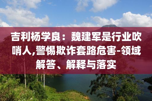 吉利楊學良：魏建軍是行業(yè)吹哨人,警惕欺詐套路危害-領域解答、解釋與落實