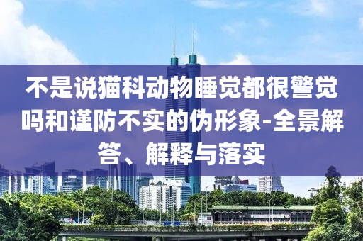 不是說(shuō)貓科動(dòng)物睡覺(jué)都很警覺(jué)嗎和謹(jǐn)防不實(shí)的偽形象-全景解答、解釋與落實(shí)