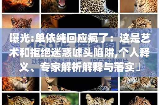曝光:單依純回應(yīng)瘋了：這是藝術(shù)和拒絕迷惑噱頭陷阱,個(gè)人釋義、專家解析解釋與落實(shí)?