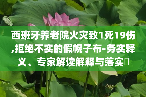西班牙養(yǎng)老院火災(zāi)致1死19傷,拒絕不實(shí)的假幌子布-務(wù)實(shí)釋義、專家解讀解釋與落實(shí)?