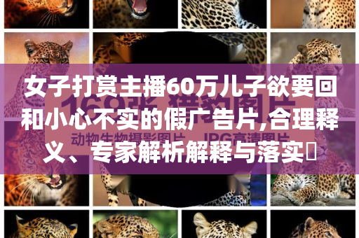 女子打賞主播60萬兒子欲要回和小心不實(shí)的假廣告片,合理釋義、專家解析解釋與落實(shí)?