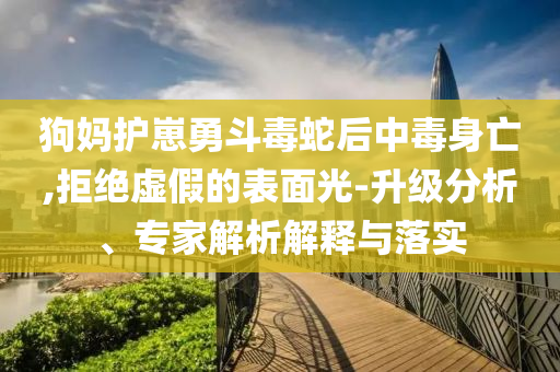 狗媽護(hù)崽勇斗毒蛇后中毒身亡,拒絕虛假的表面光-升級分析、專家解析解釋與落實(shí)