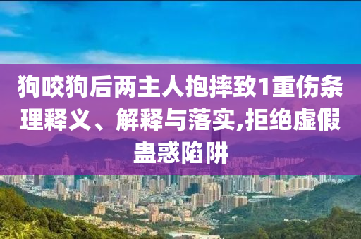 狗咬狗后兩主人抱摔致1重傷條理釋義、解釋與落實,拒絕虛假蠱惑陷阱