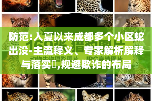 防范:入夏以來成都多個小區(qū)蛇出沒-主流釋義、專家解析解釋與落實?,規(guī)避欺詐的布局