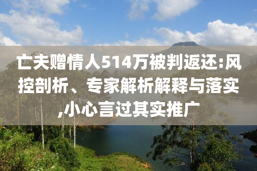 亡夫贈情人514萬被判返還:風控剖析、專家解析解釋與落實,小心言過其實推廣