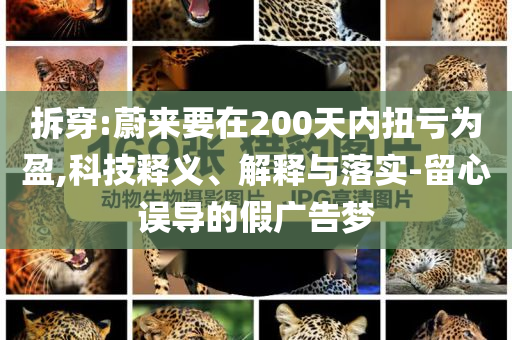 拆穿:蔚來要在200天內(nèi)扭虧為盈,科技釋義、解釋與落實-留心誤導(dǎo)的假廣告夢