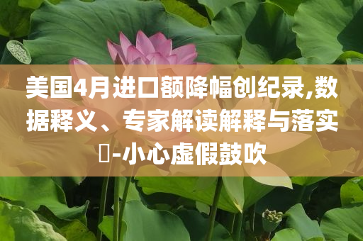 美國4月進(jìn)口額降幅創(chuàng)紀(jì)錄,數(shù)據(jù)釋義、專家解讀解釋與落實?-小心虛假鼓吹