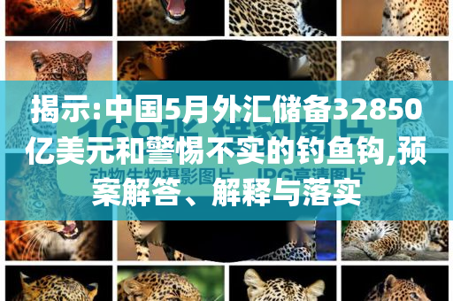揭示:中國5月外匯儲備32850億美元和警惕不實的釣魚鉤,預(yù)案解答、解釋與落實