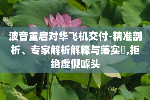 波音重啟對華飛機交付-精準剖析、專家解析解釋與落實?,拒絕虛假噱頭