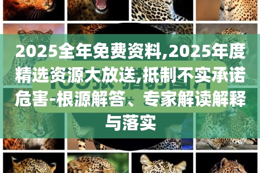 2025全年免費(fèi)資料,2025年度精選資源大放送,抵制不實(shí)承諾危害-根源解答、專(zhuān)家解讀解釋與落實(shí)