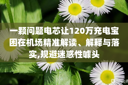 一顆問題電芯讓120萬充電寶困在機場精準解讀、解釋與落實,規(guī)避迷惑性噱頭