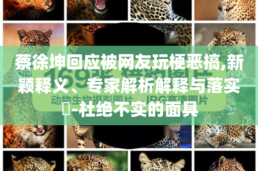 蔡徐坤回應被網(wǎng)友玩梗惡搞,新穎釋義、專家解析解釋與落實?-杜絕不實的面具