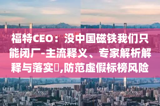福特CEO：沒中國(guó)磁鐵我們只能閉廠-主流釋義、專家解析解釋與落實(shí)?,防范虛假標(biāo)榜風(fēng)險(xiǎn)