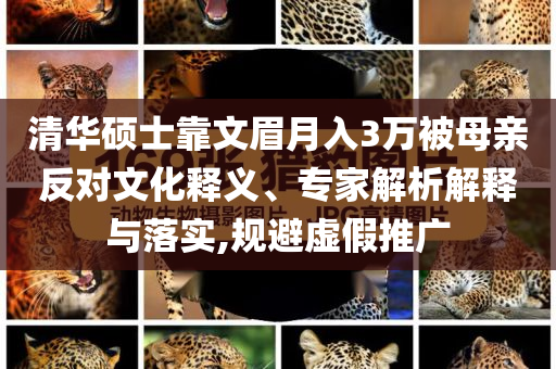 清華碩士靠文眉月入3萬被母親反對(duì)文化釋義、專家解析解釋與落實(shí),規(guī)避虛假推廣
