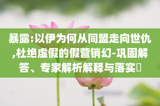暴露:以伊為何從同盟走向世仇,杜絕虛假的假營(yíng)銷幻-鞏固解答、專家解析解釋與落實(shí)?