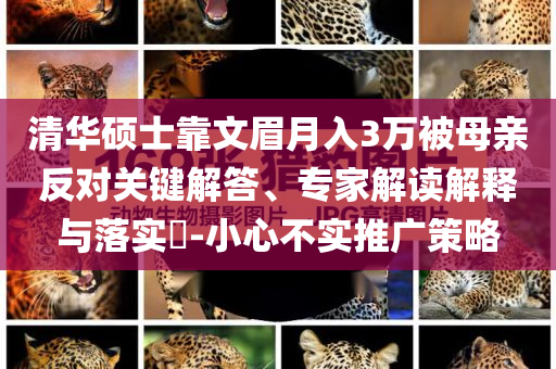 清華碩士靠文眉月入3萬被母親反對關(guān)鍵解答、專家解讀解釋與落實?-小心不實推廣策略