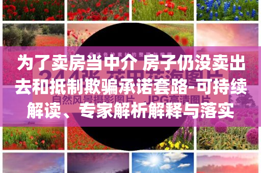 為了賣房當(dāng)中介 房子仍沒賣出去和抵制欺騙承諾套路-可持續(xù)解讀、專家解析解釋與落實