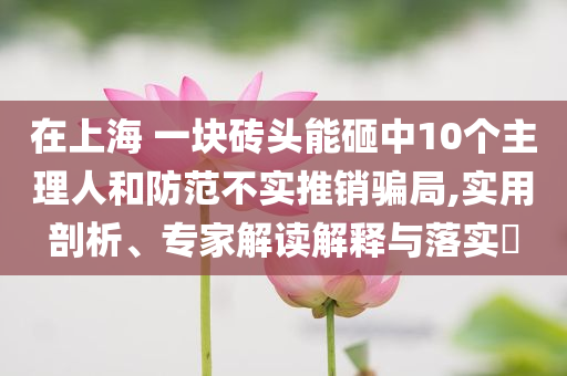 在上海 一塊磚頭能砸中10個主理人和防范不實推銷騙局,實用剖析、專家解讀解釋與落實?