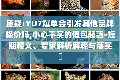 質(zhì)疑:YU7爆單會引發(fā)其他品牌降價嗎,小心不實的假包裝惑-短期釋義、專家解析解釋與落實?