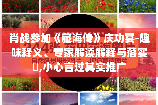 肖戰(zhàn)參加《藏海傳》慶功宴-趣味釋義、專家解讀解釋與落實?,小心言過其實推廣