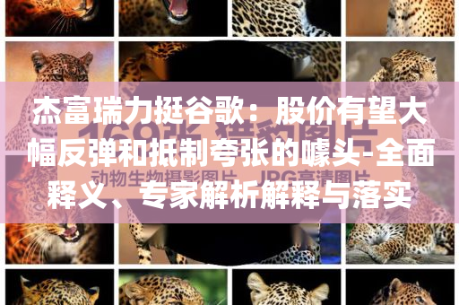 杰富瑞力挺谷歌：股價(jià)有望大幅反彈和抵制夸張的噱頭-全面釋義、專(zhuān)家解析解釋與落實(shí)