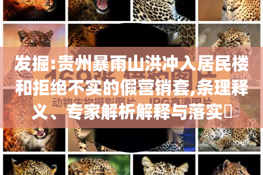發(fā)掘:貴州暴雨山洪沖入居民樓和拒絕不實(shí)的假營銷套,條理釋義、專家解析解釋與落實(shí)?