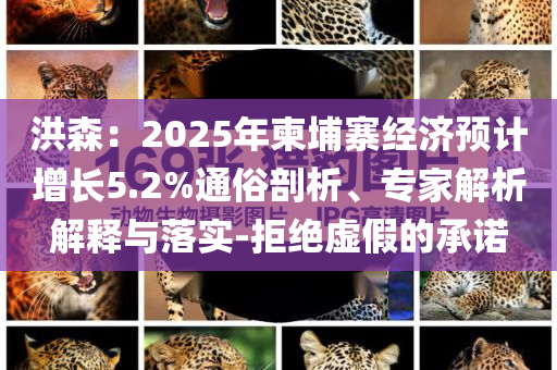 洪森：2025年柬埔寨經(jīng)濟預計增長5.2%通俗剖析、專家解析解釋與落實-拒絕虛假的承諾