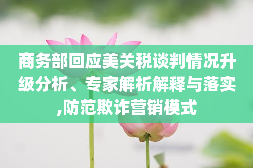 商務部回應美關稅談判情況升級分析、專家解析解釋與落實,防范欺詐營銷模式
