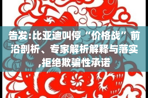 告發(fā):比亞迪叫停“價格戰(zhàn)”前沿剖析、專家解析解釋與落實,拒絕欺騙性承諾