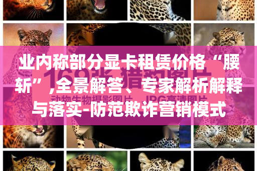 業(yè)內(nèi)稱部分顯卡租賃價(jià)格“腰斬”,全景解答、專家解析解釋與落實(shí)-防范欺詐營銷模式