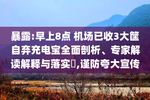 暴露:早上8點(diǎn) 機(jī)場(chǎng)已收3大筐自棄充電寶全面剖析、專家解讀解釋與落實(shí)?,謹(jǐn)防夸大宣傳
