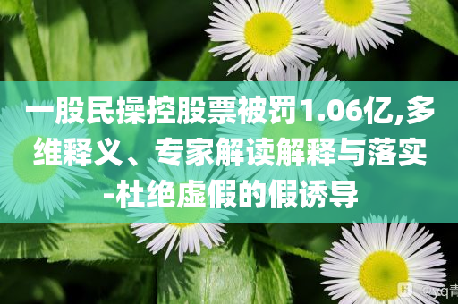 一股民操控股票被罰1.06億,多維釋義、專家解讀解釋與落實(shí)-杜絕虛假的假誘導(dǎo)