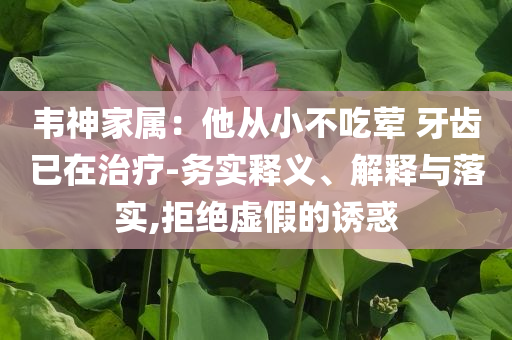 韋神家屬：他從小不吃葷 牙齒已在治療-務(wù)實(shí)釋義、解釋與落實(shí),拒絕虛假的誘惑