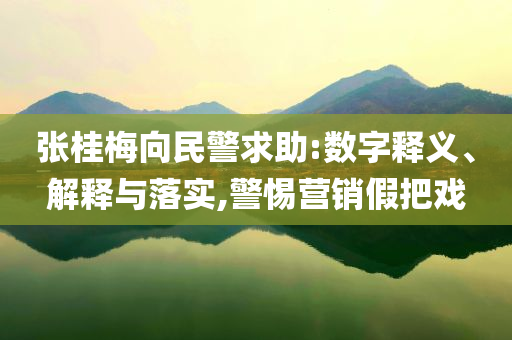 張桂梅向民警求助:數(shù)字釋義、解釋與落實,警惕營銷假把戲