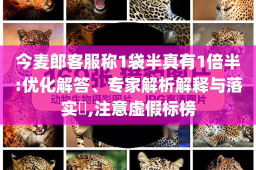 今麥郎客服稱1袋半真有1倍半:優(yōu)化解答、專家解析解釋與落實(shí)?,注意虛假標(biāo)榜
