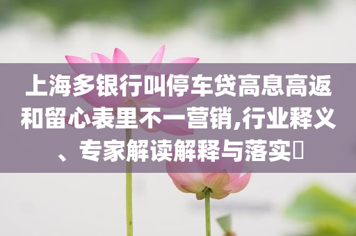 上海多銀行叫停車貸高息高返和留心表里不一營銷,行業(yè)釋義、專家解讀解釋與落實?