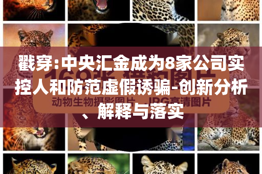 戳穿:中央?yún)R金成為8家公司實(shí)控人和防范虛假誘騙-創(chuàng)新分析、解釋與落實(shí)
