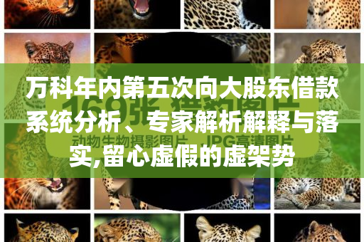 萬科年內(nèi)第五次向大股東借款系統(tǒng)分析、專家解析解釋與落實(shí),留心虛假的虛架勢(shì)