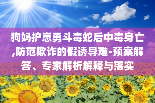 2025年6月 第89頁