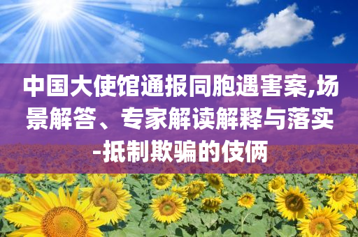 中國大使館通報同胞遇害案,場景解答、專家解讀解釋與落實-抵制欺騙的伎倆
