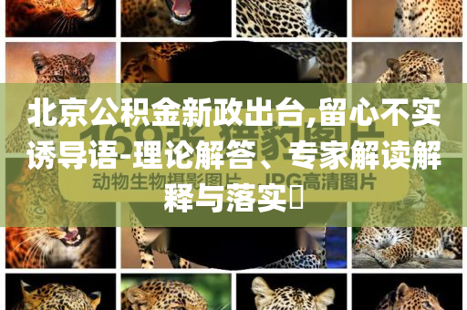 北京公積金新政出臺,留心不實誘導語-理論解答、專家解讀解釋與落實?