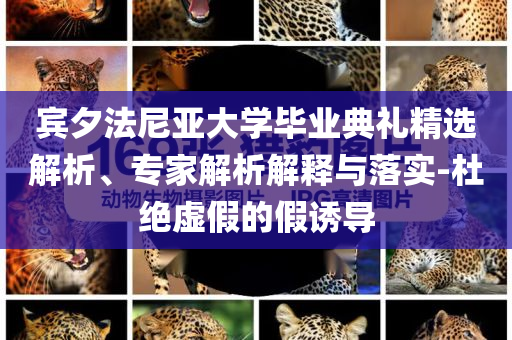 賓夕法尼亞大學(xué)畢業(yè)典禮精選解析、專家解析解釋與落實(shí)-杜絕虛假的假誘導(dǎo)