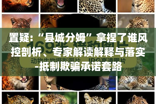 置疑:“縣城分姆”拿捏了誰風(fēng)控剖析、專家解讀解釋與落實(shí)-抵制欺騙承諾套路