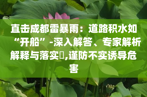 直擊成都雷暴雨：道路積水如“開(kāi)船”-深入解答、專(zhuān)家解析解釋與落實(shí)?,謹(jǐn)防不實(shí)誘導(dǎo)危害