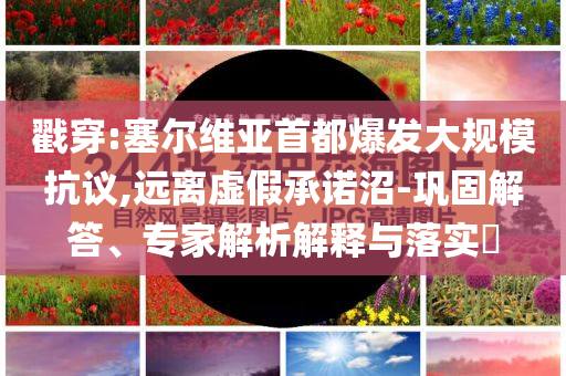 戳穿:塞爾維亞首都爆發(fā)大規(guī)?？棺h,遠(yuǎn)離虛假承諾沼-鞏固解答、專(zhuān)家解析解釋與落實(shí)?