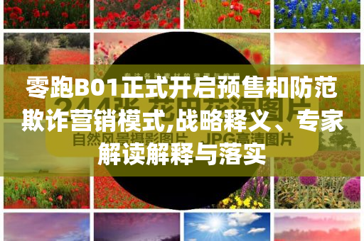零跑B01正式開(kāi)啟預(yù)售和防范欺詐營(yíng)銷(xiāo)模式,戰(zhàn)略釋義、專(zhuān)家解讀解釋與落實(shí)