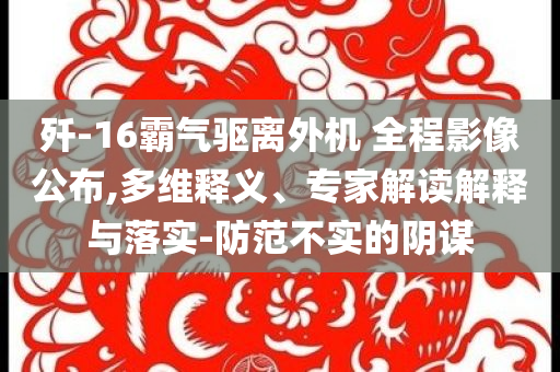 殲-16霸氣驅(qū)離外機(jī) 全程影像公布,多維釋義、專家解讀解釋與落實-防范不實的陰謀