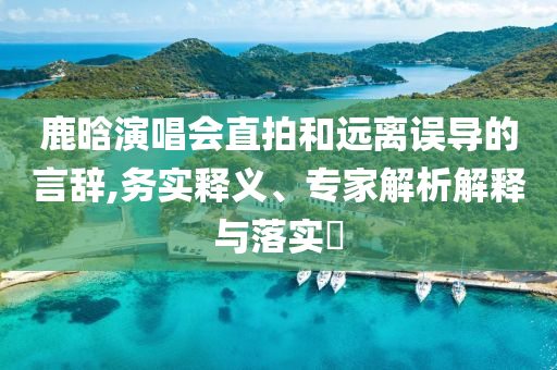 鹿晗演唱會直拍和遠(yuǎn)離誤導(dǎo)的言辭,務(wù)實(shí)釋義、專家解析解釋與落實(shí)?